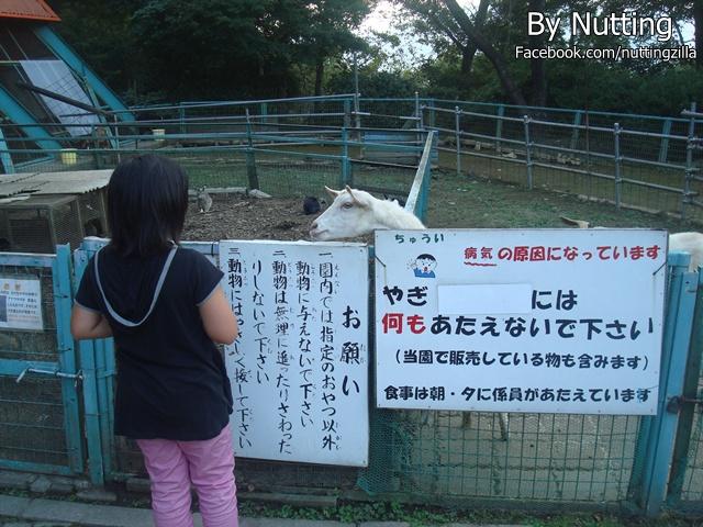 DSC03981.JPG